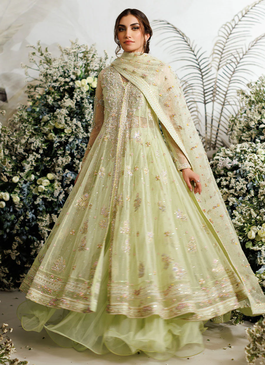 Eliza Kiwi Tulle Kalidaar - Farah Talib Aziz